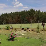 Zielona Przystan * Boruja