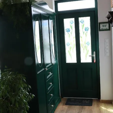 Zielona Przystan Apartment *