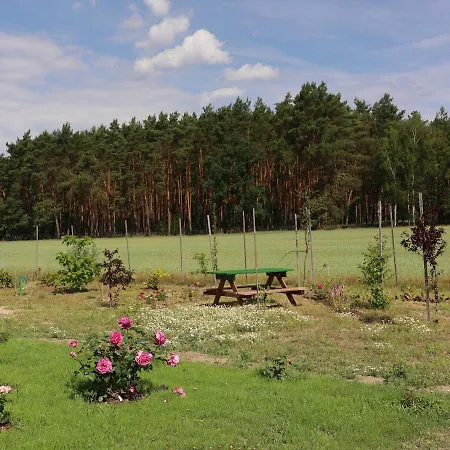 Zielona Przystań * Boruja