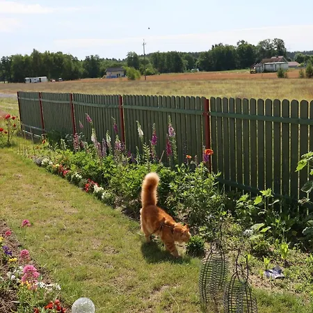 Apartament Zielona Przystań *