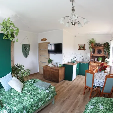 Zielona Przystan Apartment *