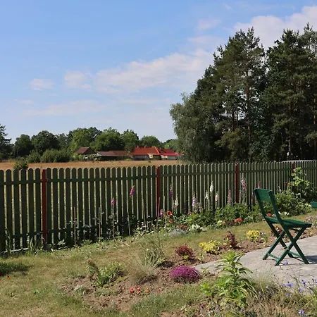 Zielona Przystan * Boruja