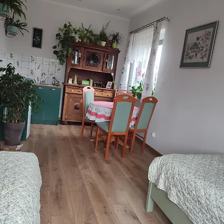 Zielona Przystan Apartment *
