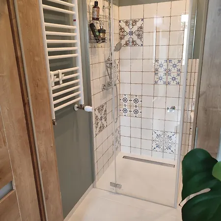 Zielona Przystań Boruja