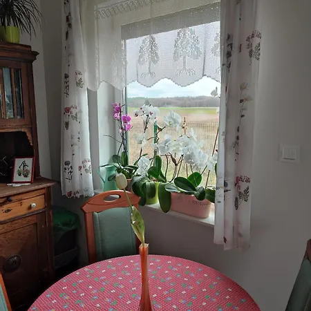 Zielona Przystan * Boruja