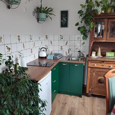 Zielona Przystań Boruja