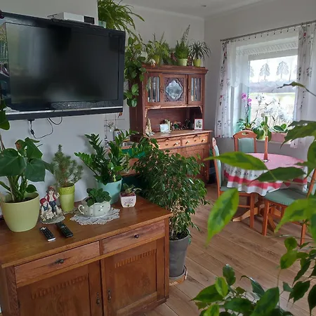 Zielona Przystan Boruja