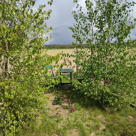 Zielona Przystan アパート Boruja