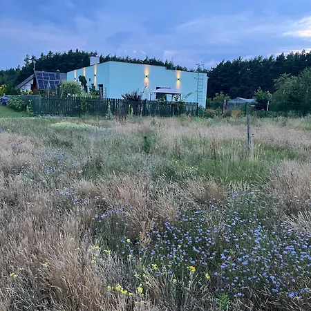 Zielona Przystan *