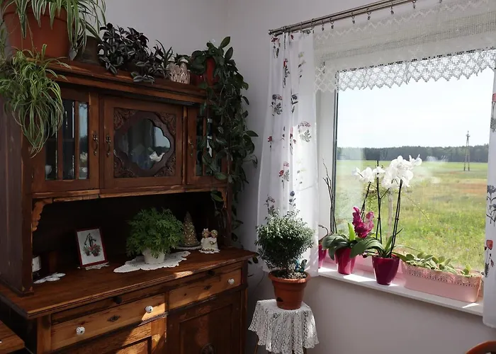 Zielona Przystan Boruja