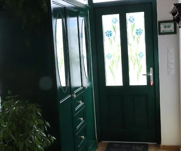 Zielona Przystan 公寓 *