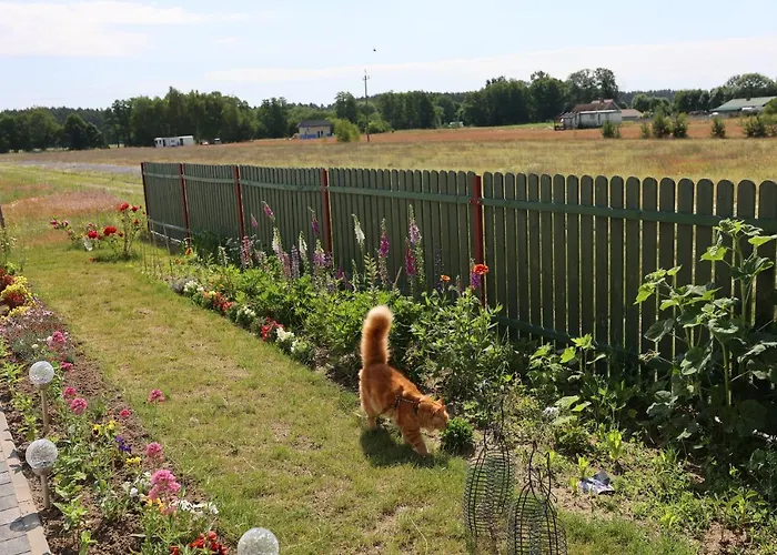 公寓 Zielona Przystan *