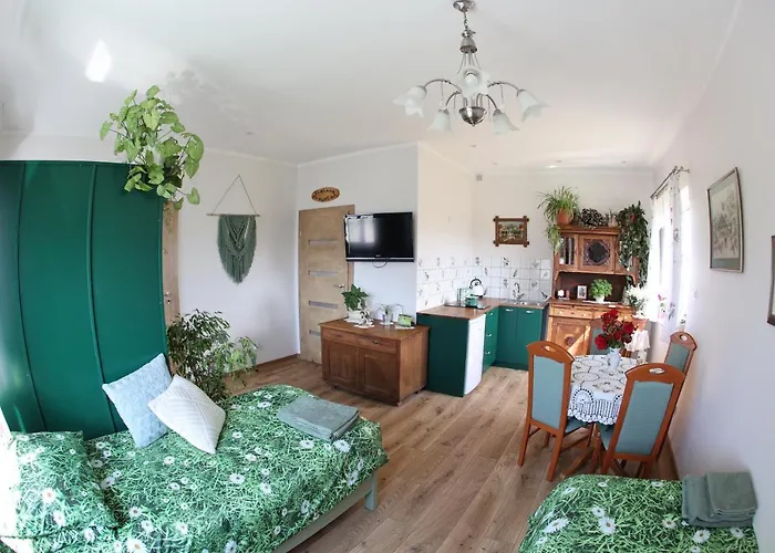Zielona Przystan Apartment *