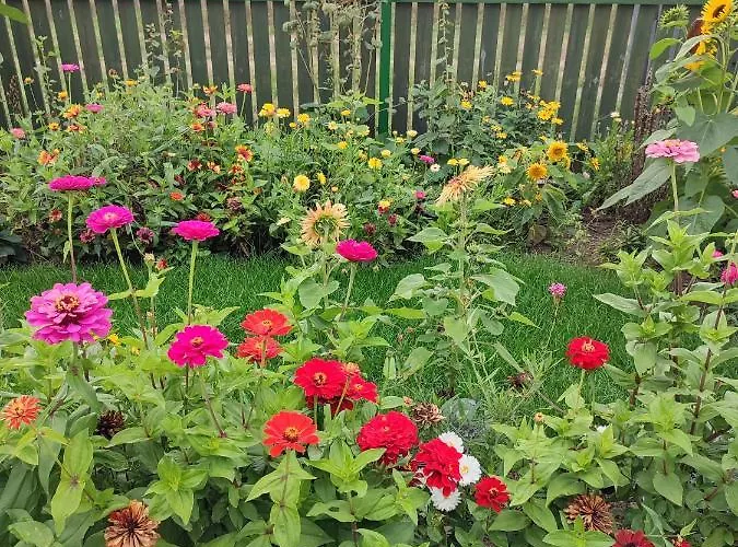 Apartment Zielona Przystan Boruja