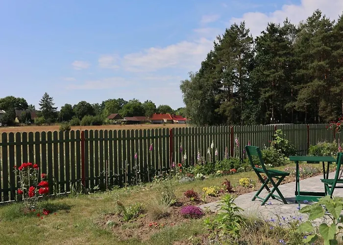 Zielona Przystan * Boruja