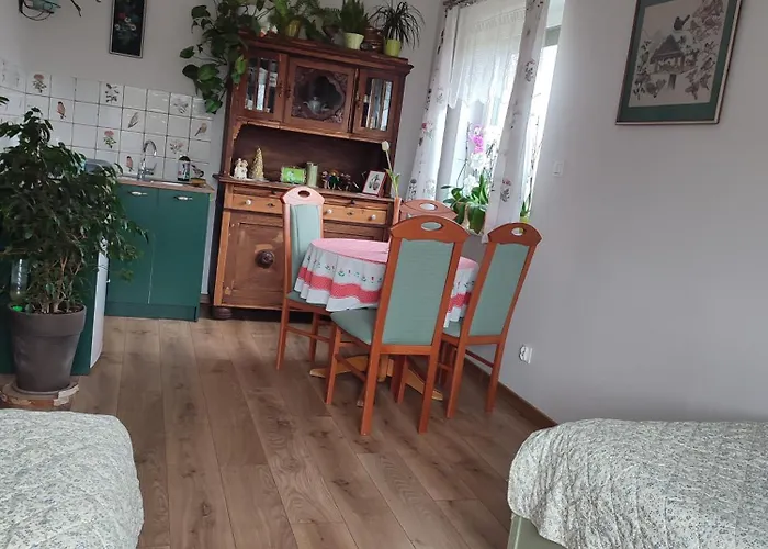 Zielona Przystan Apartment *