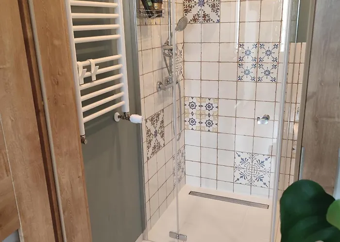 Zielona Przystan Boruja