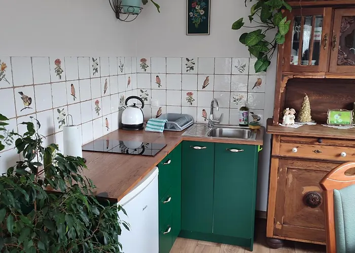 Zielona Przystan Boruja