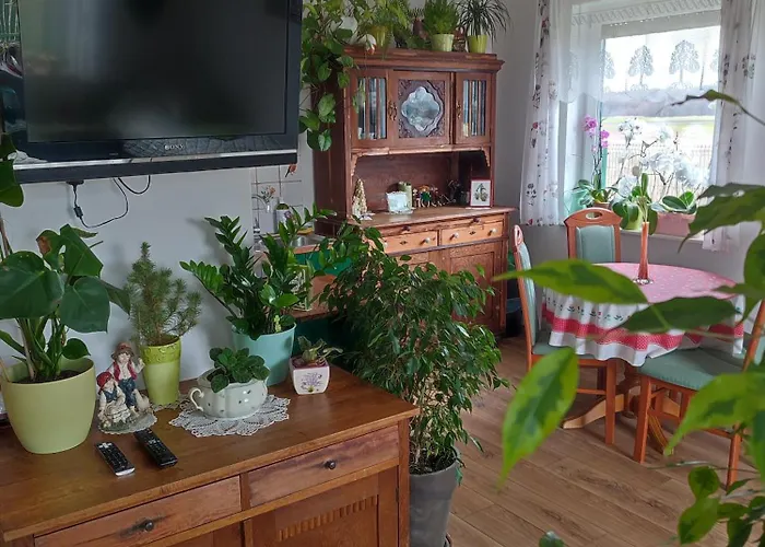 Zielona Przystan Boruja