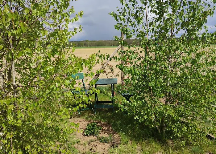 Zielona Przystan 公寓 Boruja